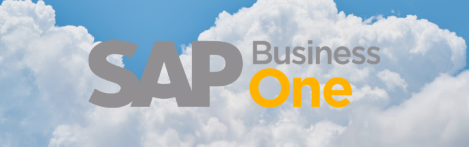 ¿Por qué contratar SAP Business One en la nube?