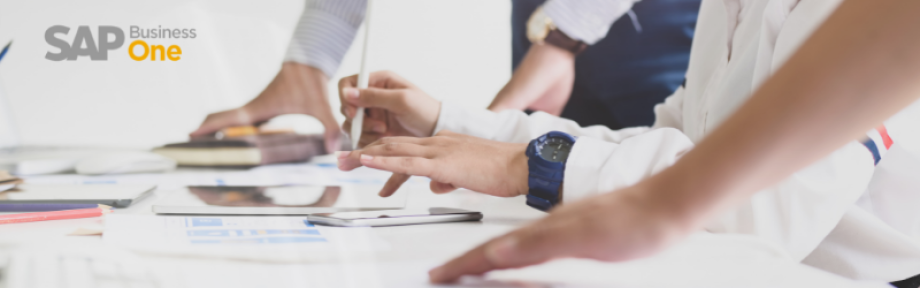 Soporte SAP Business One
